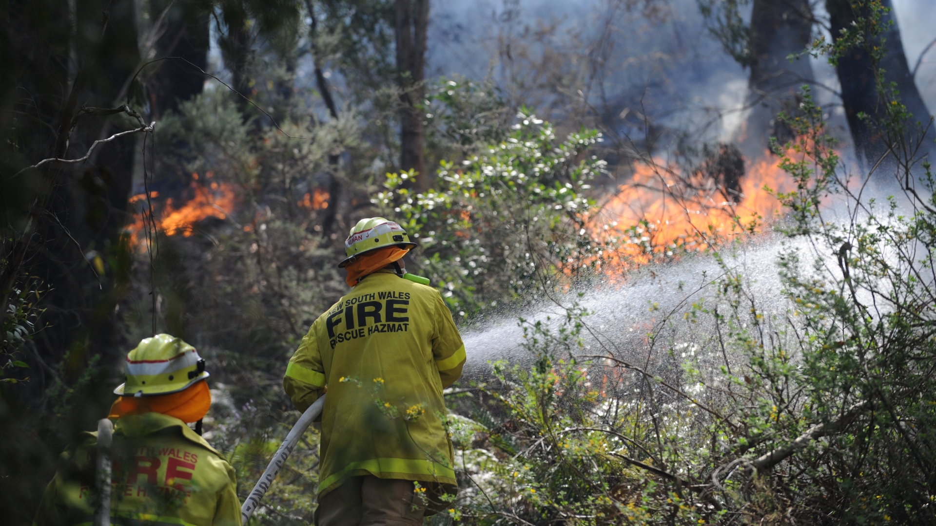AI cameras helped put out more than 1,100 bushfires over summer